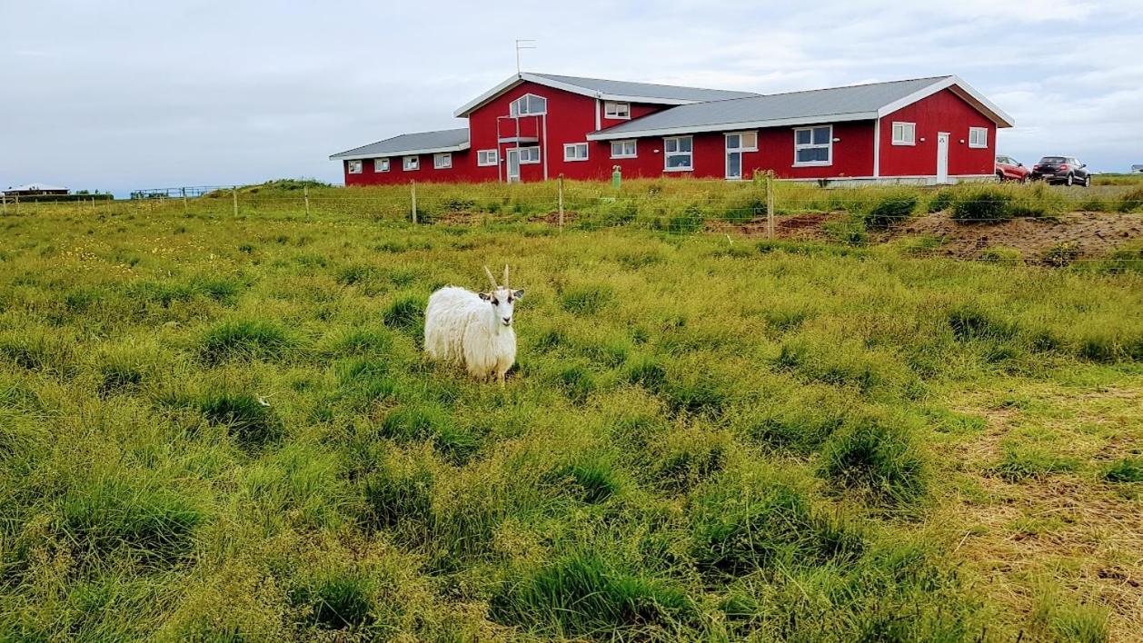 Skalatjoern Guesthouse Skalatjorn Eksteriør billede